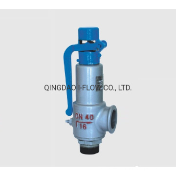 Wcb Spring Low Lift Safety Valve Type China Manufacturer